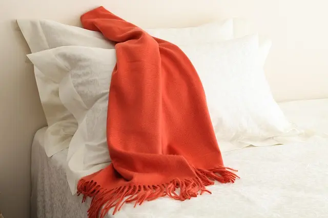 Guide d'achat : Pashminas en cachemire