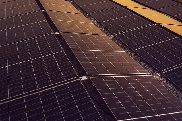 Your Complete Guide to Energy Efficient Appliances