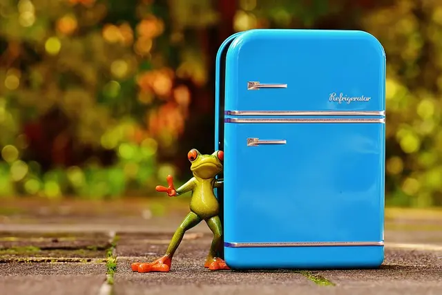 Best American Refrigerator Buying Guide